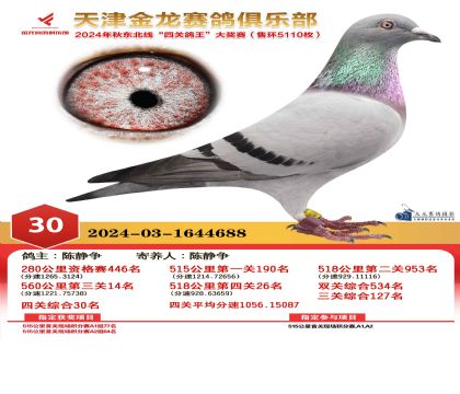 天津金龍鴿王30名