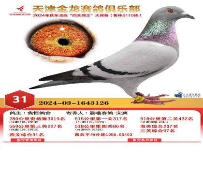 天津金龍鴿王31名