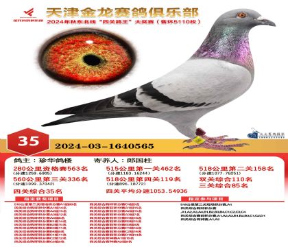 天津金龍鴿王35名