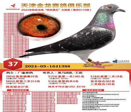 天津金龍鴿王37名