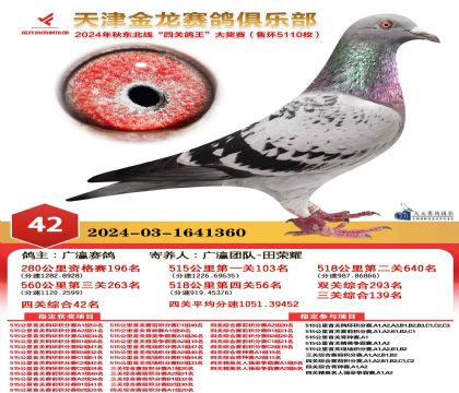天津金龍鴿王42名