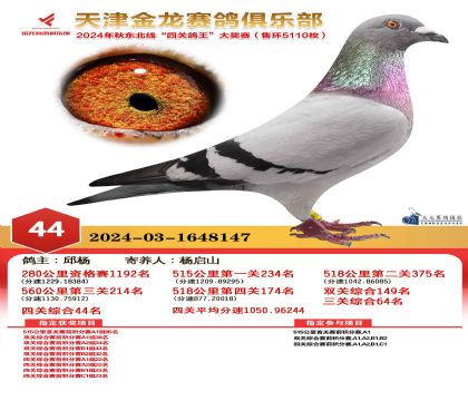 天津金龍鴿王44名