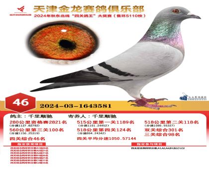 天津金龍鴿王46名