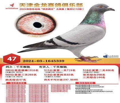 天津金龍鴿王47名