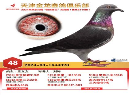 天津金龍鴿王48名