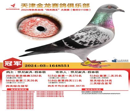 天津金龍鴿王冠軍