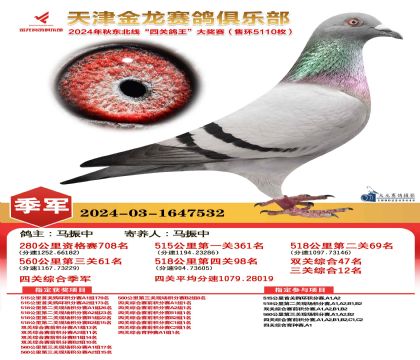 天津金龍鴿王季軍