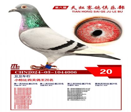 Сر20