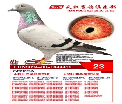 Сر23
