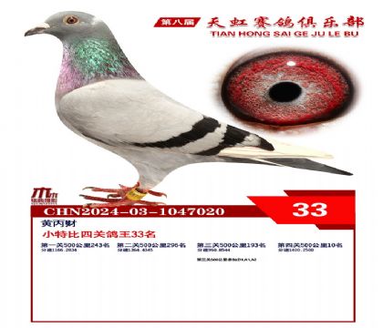 Сر33