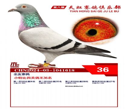Сر36