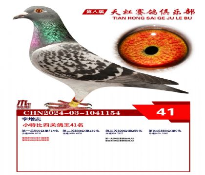 Сر41