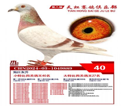 Сر40