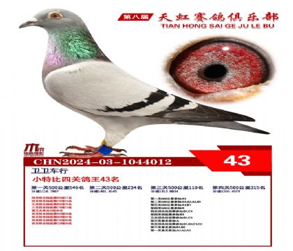 Сر43