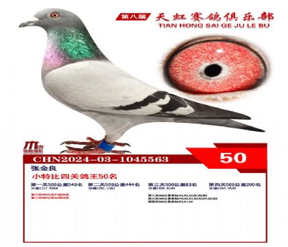 Сر50