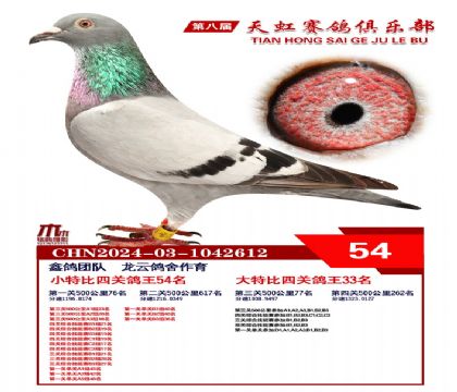 Сر54