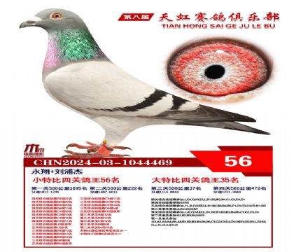 Сر56