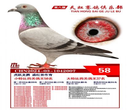 Сر58