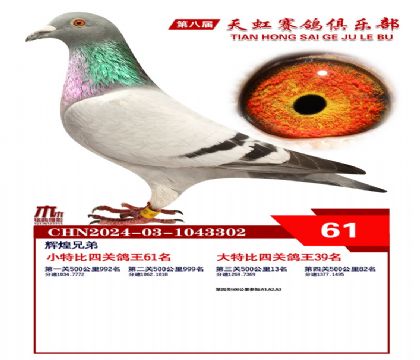 Сر61