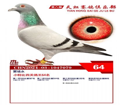 Сر64