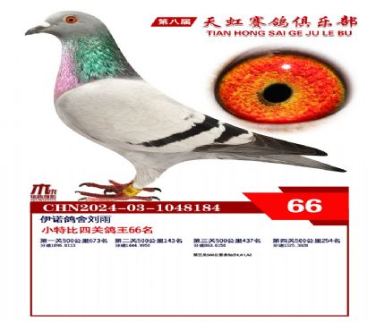Сر66