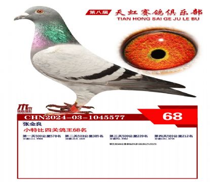 Сر68