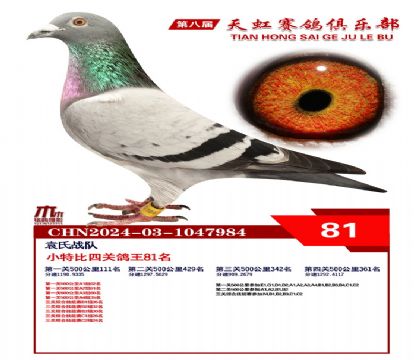 Сر81