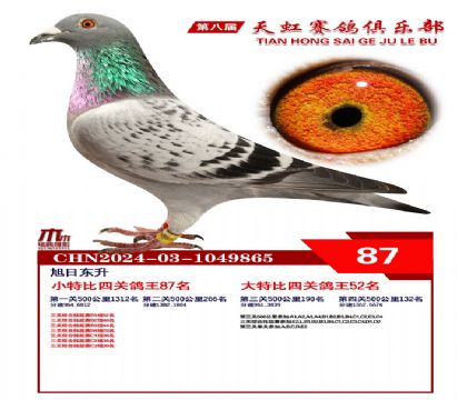 Сر87