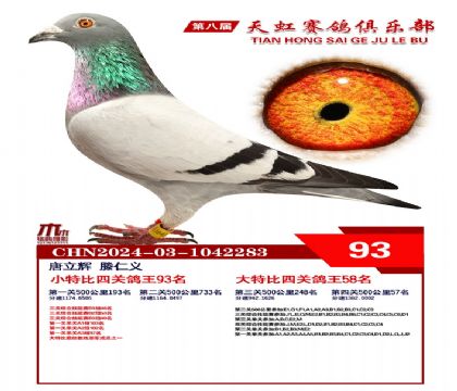 Сر93