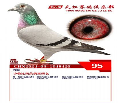 Сر95
