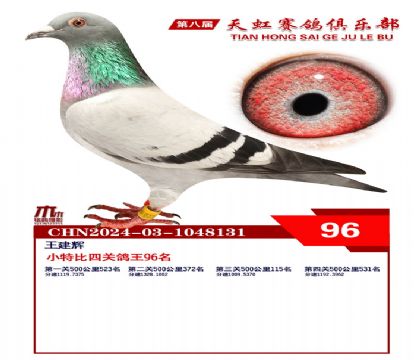 Сر96