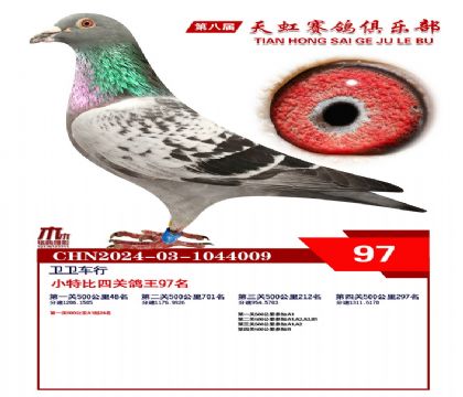 Сر97