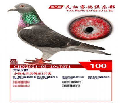 Сر100