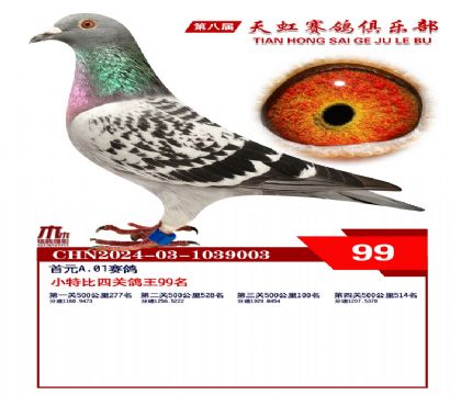 Сر99