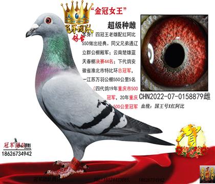母親一金冠女王