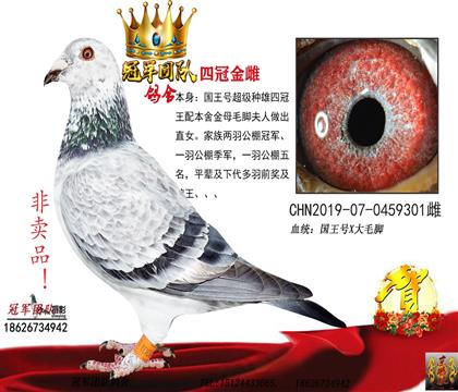 母親一四冠金雌