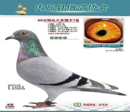 三關(guān)綜合7名
