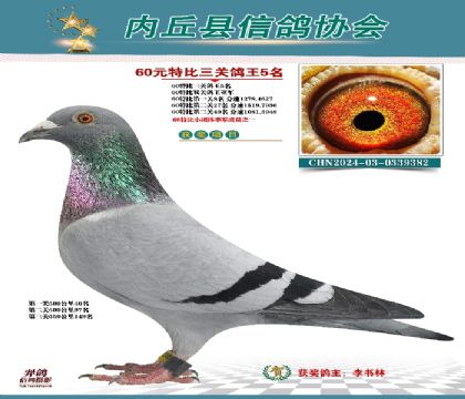 三關(guān)綜合5名