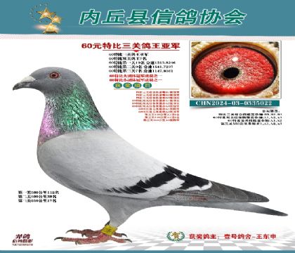三關(guān)綜合亞軍