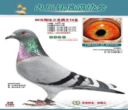 三關(guān)綜合14名