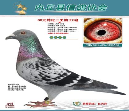 三關(guān)綜合8名