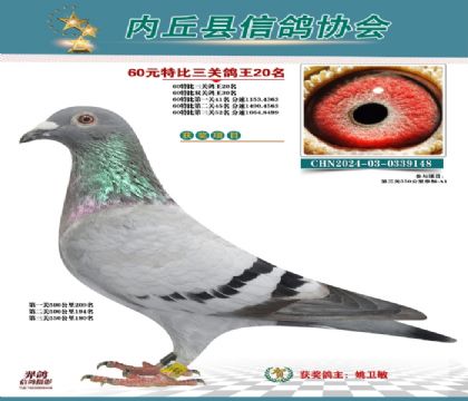 三關(guān)綜合20名