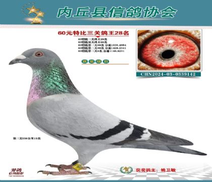 三關(guān)綜合28名