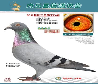 三關(guān)綜合24名