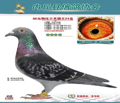三關(guān)綜合23名