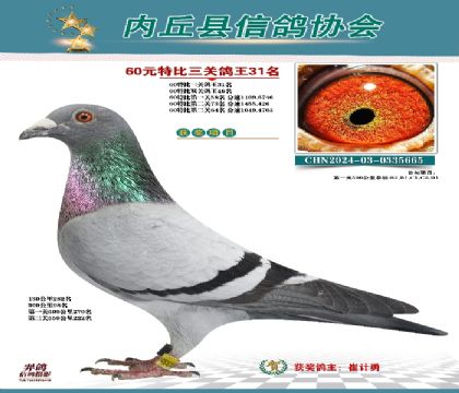 三關(guān)綜合31名