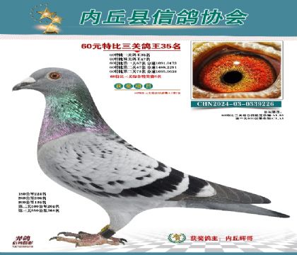 三關(guān)綜合35名