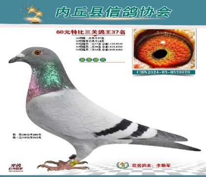 三關(guān)綜合37名