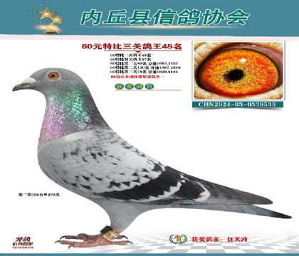 三關(guān)綜合45名