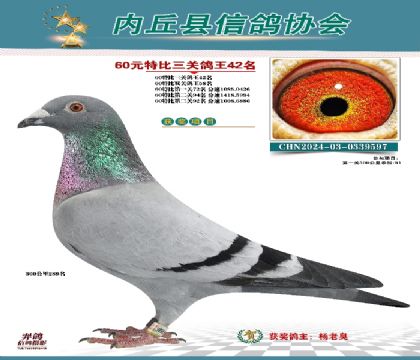 三關(guān)綜合42名